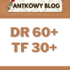 Artykuł sponsorowany - Antkowyblog.pl